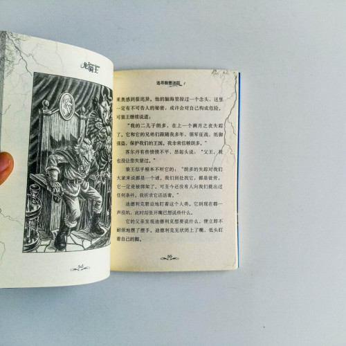 龍騎士:追尋狼堡迷踪 龍騎士:追尋狼堡迷踪