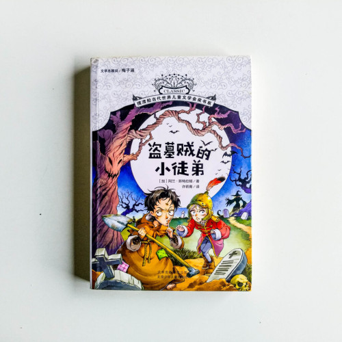 盜墓賊的小徒弟 盜墓賊的小徒弟
