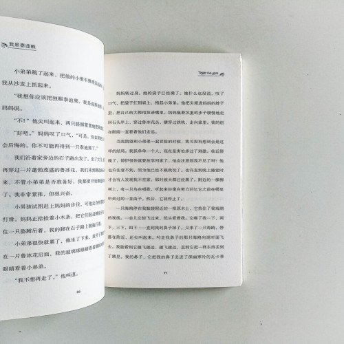 我是泰迪熊