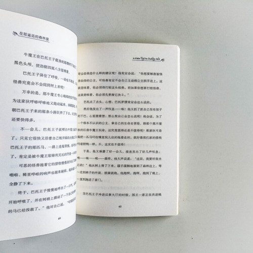 在那遙遠的森林裡