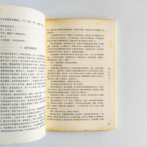 2005最佳青春小說 2005最佳青春小說