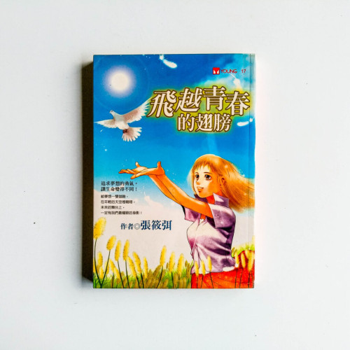 飛越青春的翅膀 飛越青春的翅膀