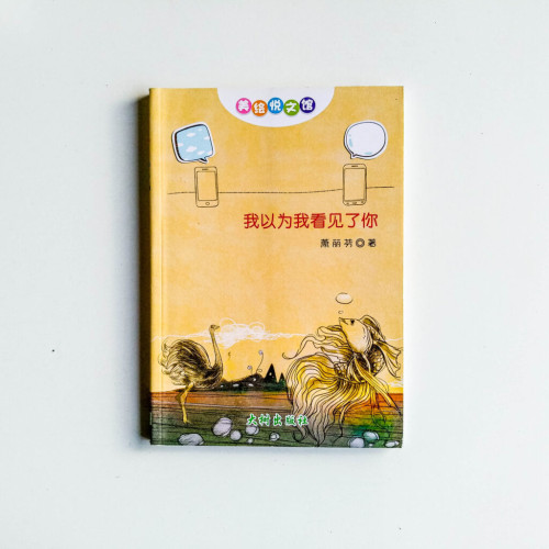 我以為我看見了你 我以為我看見了你
