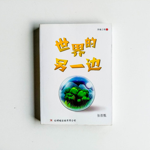 世界的另一邊 世界的另一邊