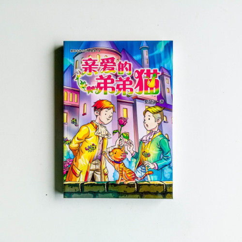 親愛的弟弟貓 親愛的弟弟貓