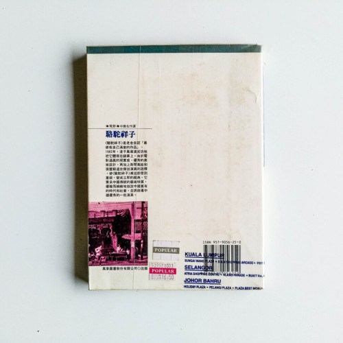 駱駝祥子 駱駝祥子