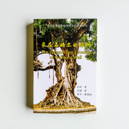 長在石牆上的榕樹 長在石牆上的榕樹