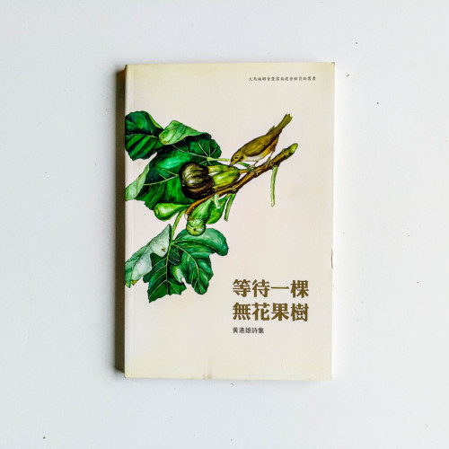 等待一棵無花果樹:黃遠雄詩集 等待一棵無花果樹:黃遠雄詩集