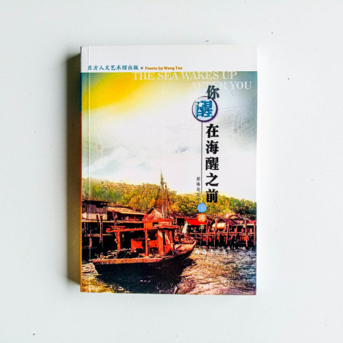 你醒在海醒之前:邦咯島之子 你醒在海醒之前:邦咯島之子