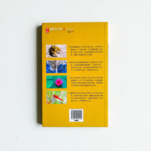 窺探大自然 窺探大自然
