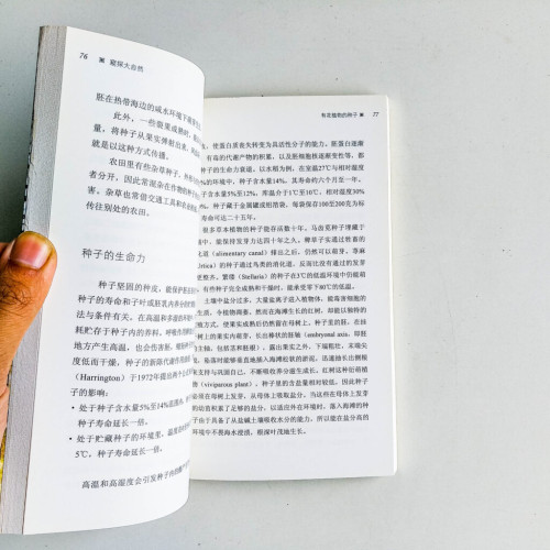 窺探大自然 窺探大自然