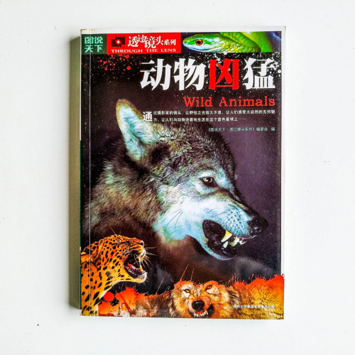 動物兇猛 動物兇猛