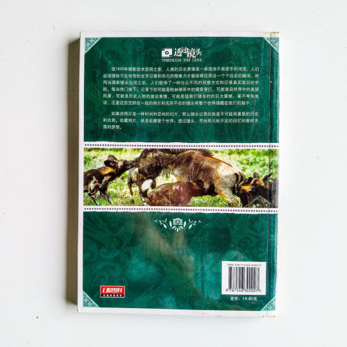 動物兇猛 動物兇猛