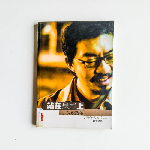 站在懸崖上:丁賢談政治 站在懸崖上:丁賢談政治