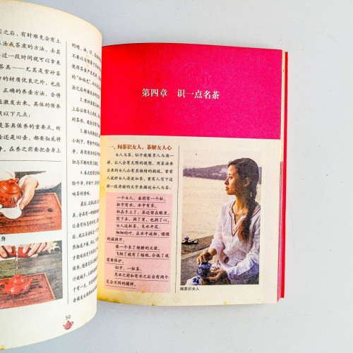 女孩學茶 女孩學茶