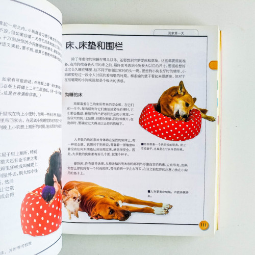 愛犬 愛犬