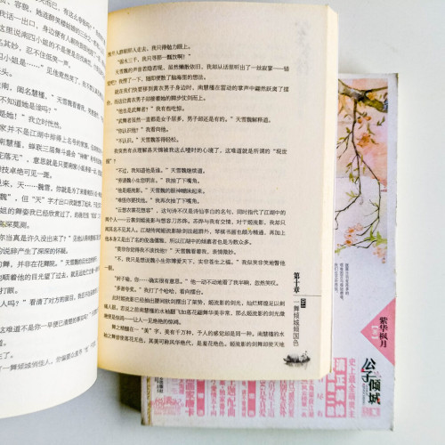 公子多情(全2冊) 公子多情(全2冊)