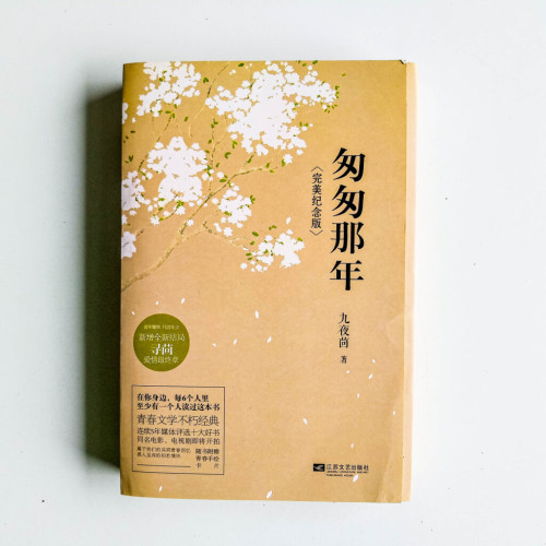 匆匆那年:完美紀念版(全2冊) 匆匆那年:完美紀念版(全2冊)