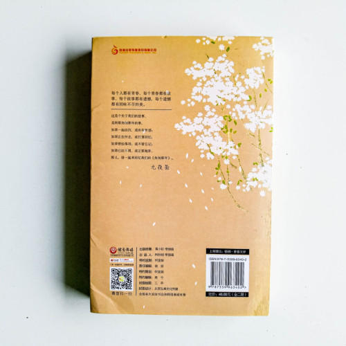 匆匆那年:完美紀念版(全2冊) 匆匆那年:完美紀念版(全2冊)