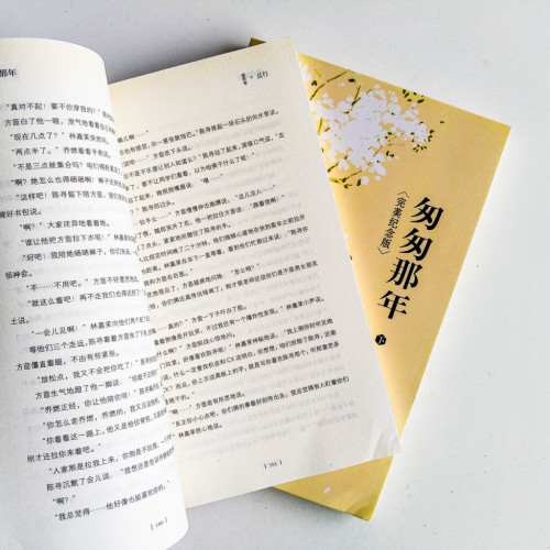 匆匆那年:完美紀念版(全2冊) 匆匆那年:完美紀念版(全2冊)