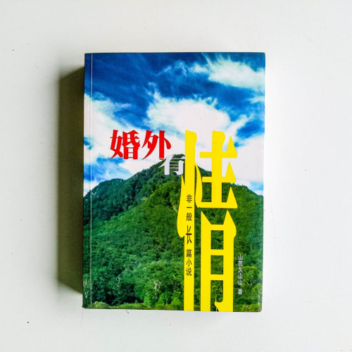 婚外有情 婚外有情