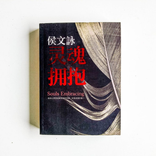 靈魂擁抱 靈魂擁抱