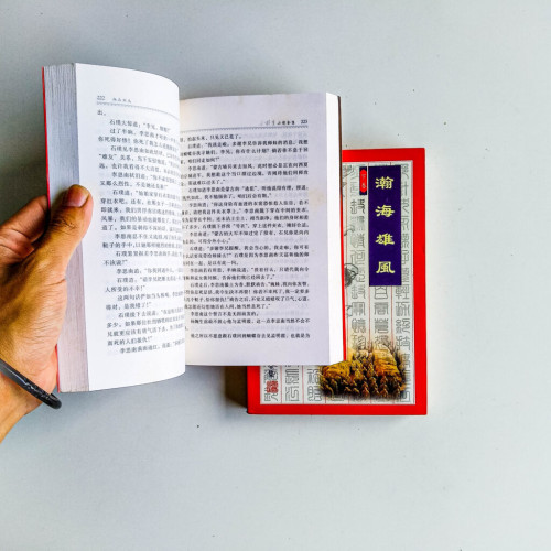 瀚海雄風(上下冊) 瀚海雄風(上下冊)