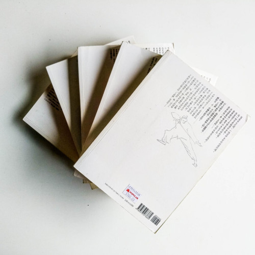 王道劍(全5冊) 王道劍(全5冊)