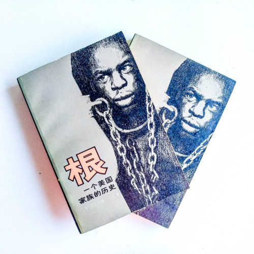 根:一個美國家族的歷史(上下冊) 根:一個美國家族的歷史(上下冊)