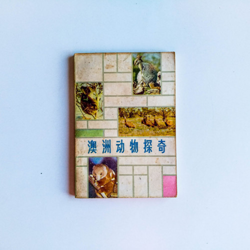澳洲動物探奇