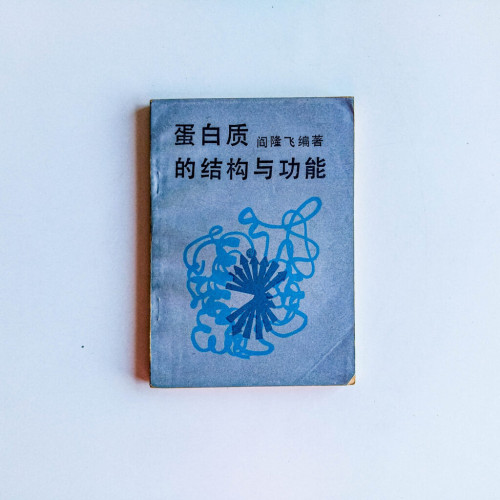 蛋白質的結構與功能 蛋白質的結構與功能