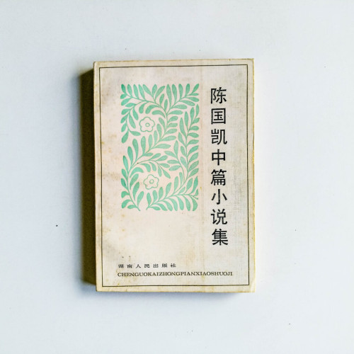 陳國凱中篇小說集 陳國凱中篇小說集