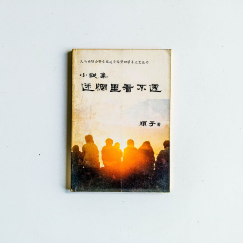 迷惘裡看不透 小說集 迷惘裡看不透 小說集