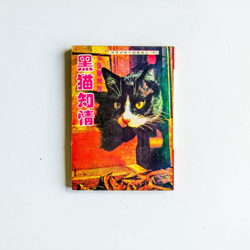 黑貓知情