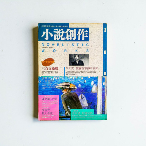 小說創作 300期 小說創作 300期