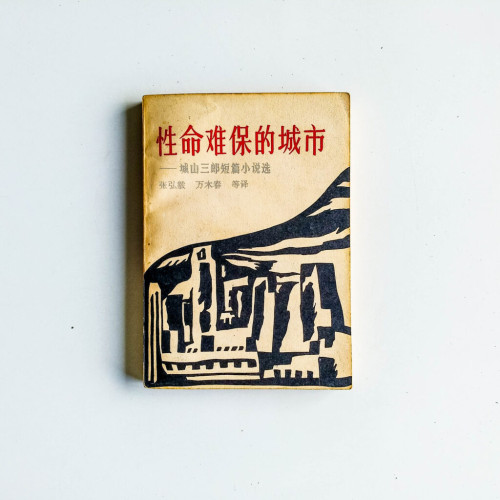 性命難保的城市 性命難保的城市