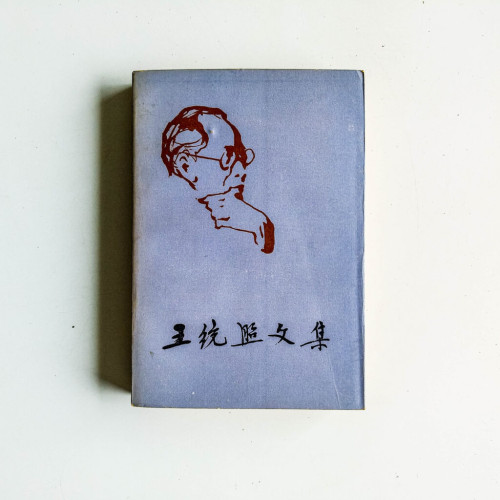 王統照文集(第三卷) 王統照文集(第三卷)