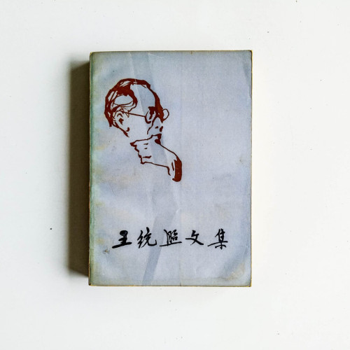 王統照文集(第六卷) 王統照文集(第六卷)