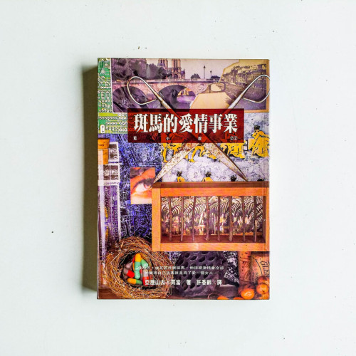 斑馬的愛情事業 斑馬的愛情事業