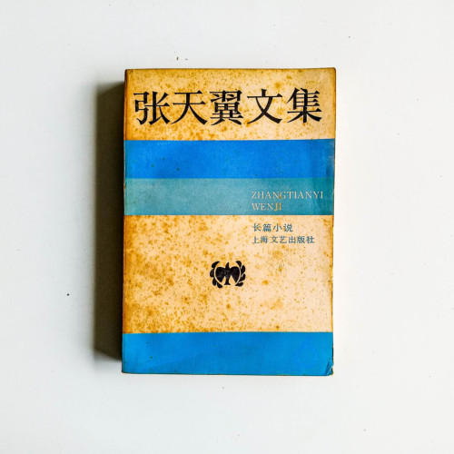 張天翼文集:長篇小說 張天翼文集:長篇小說