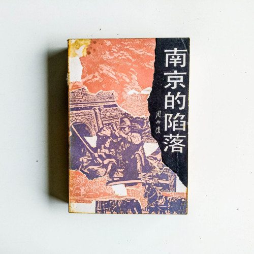 南京的陷落 南京的陷落