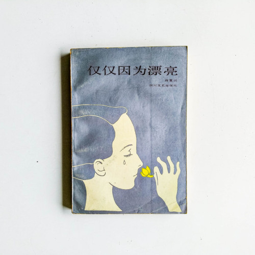 僅僅因為漂亮 僅僅因為漂亮