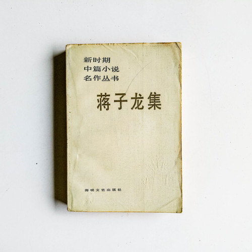 蔣子龍集