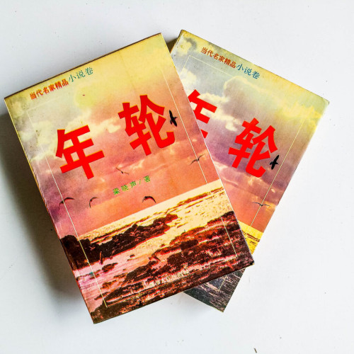 年輪(上下冊) 年輪(上下冊)