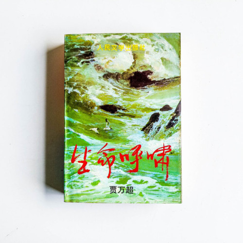 生命呼嘯 生命呼嘯