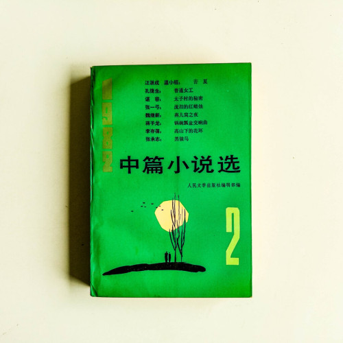 1982中篇小說選2