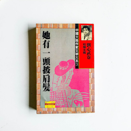 她有一頭披肩髮:劉心武卷 她有一頭披肩髮:劉心武卷