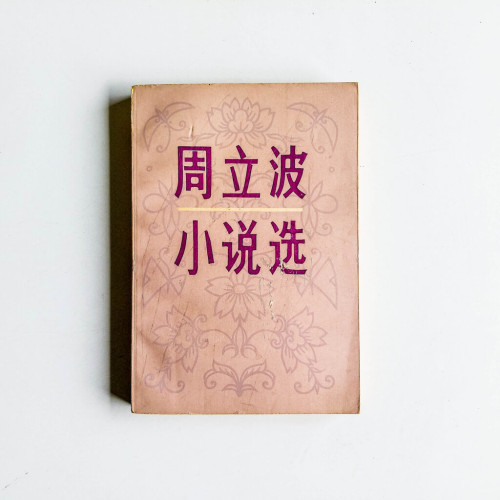 周立波小說選