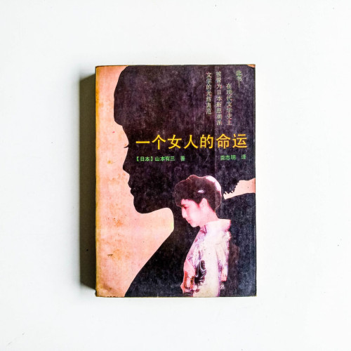 一個女人的命運 一個女人的命運