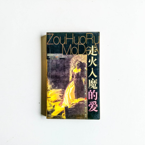 走火入魔的愛 走火入魔的愛